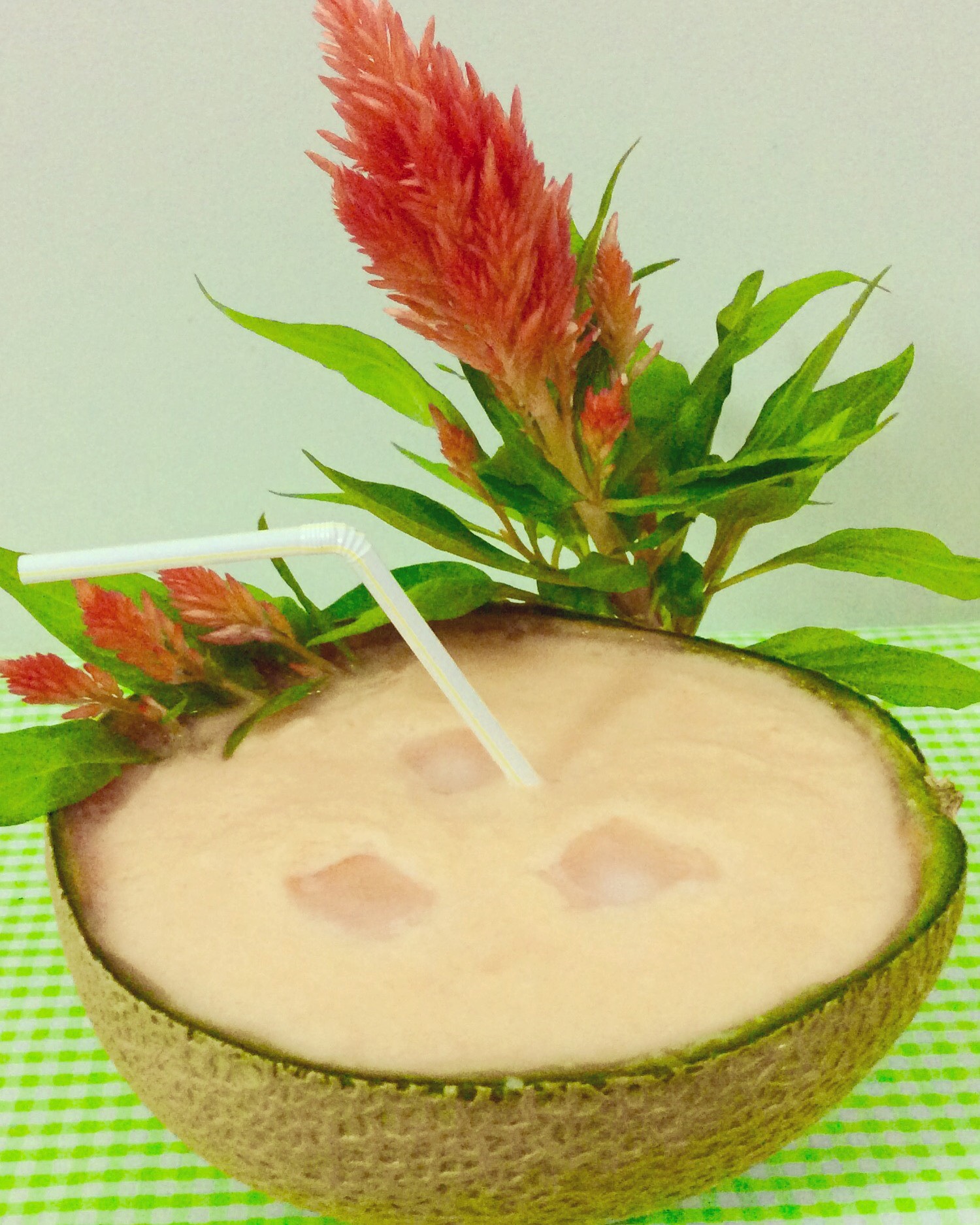 Magnificent Melon Smoothie